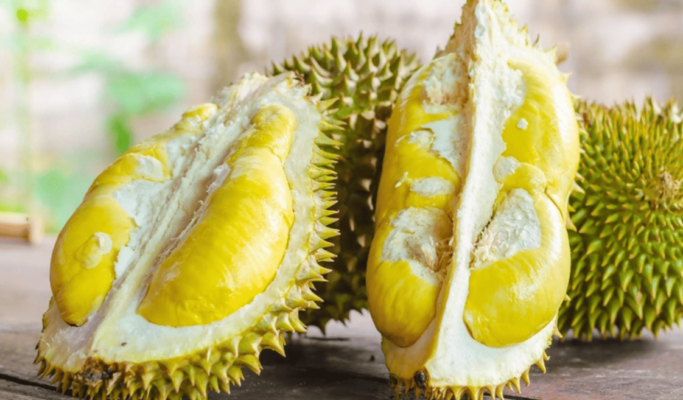 Sầu Riêng Ngon Ngọt