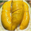 Sầu Riêng Musang King