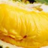 Sầu Riêng Musang King