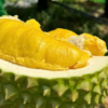 Sầu Riêng Musang King