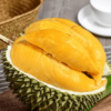 sau-rieng-musang-king