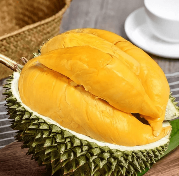 sau-rieng-musang-king