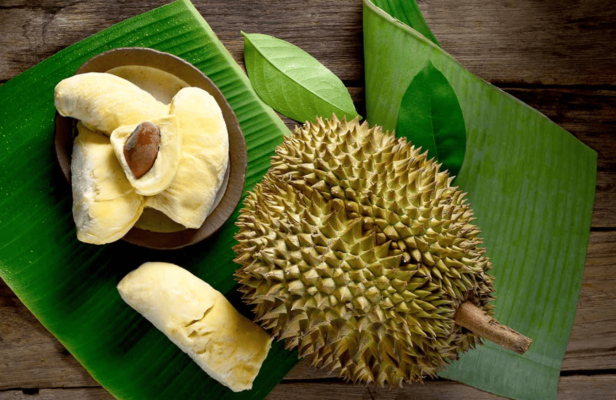 Sầu Riêng Chín Hoa