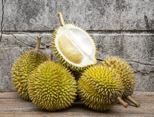 Sầu Riêng Chín Hoa