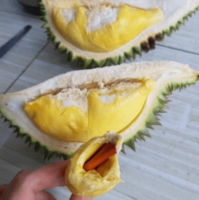 sau-rieng-monthong-tai-qua-tang-phuc-an