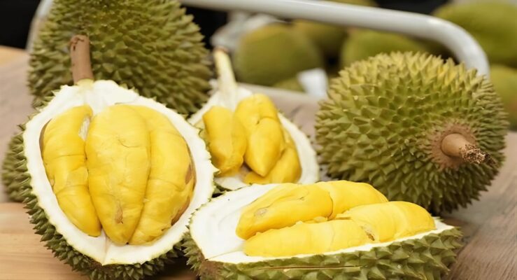 sau-rieng-musang-king