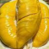 Sầu Riêng Musang King
