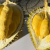 sau-rieng-musang-king-dac-san-qua-tang-phuc-an