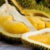 Sầu Riêng Musang King