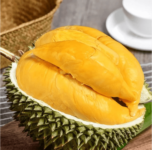 sau-rieng-musang-king