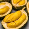 sau-rieng-musang-king