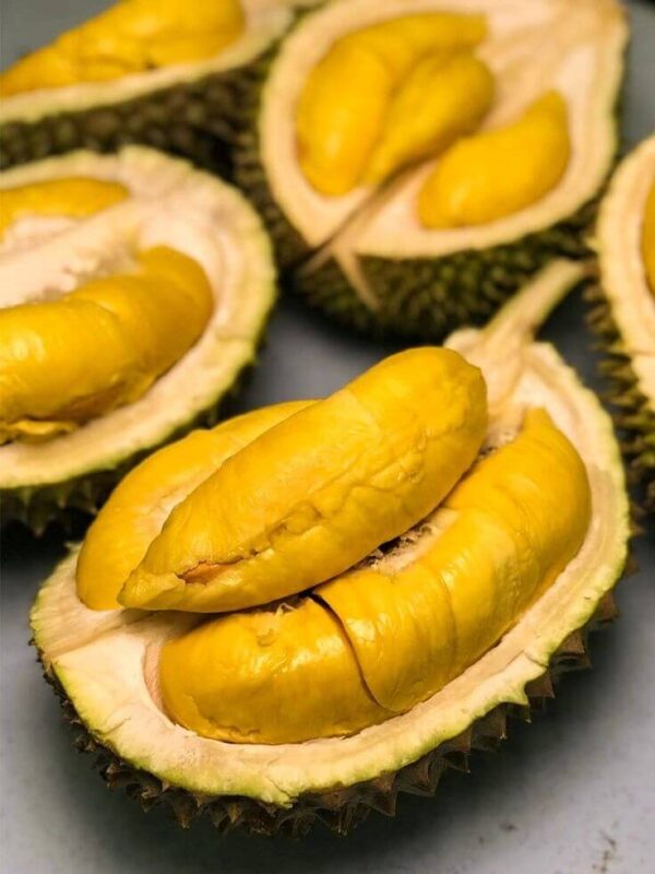 sau-rieng-musang-king