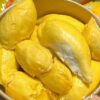 sau-rieng-musang-king