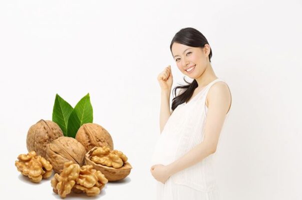Hạt Óc Chó – Tăng Trí Thông Minh Cho Thai Nhi