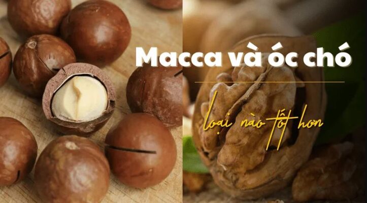 Hạt Macca và hạt óc chó loại nào tốt hơn cho sức khỏe