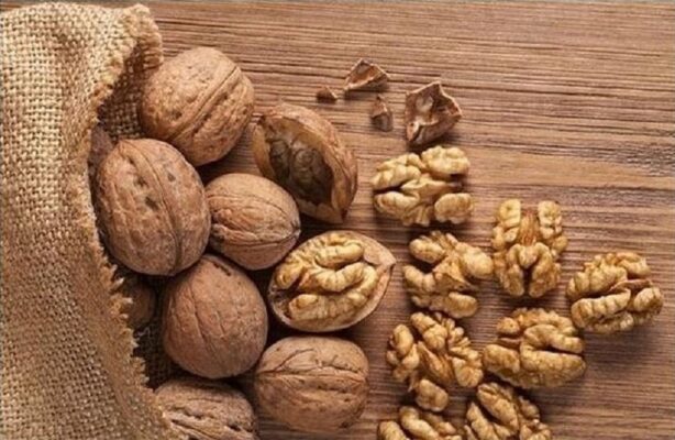 Công dụng của hạt óc chó