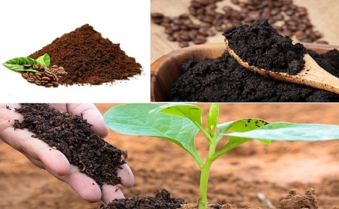 Làm Phân Bón Cho Cây Trong Trồng