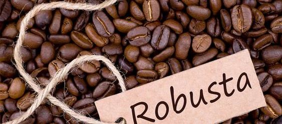 Hạt Cà Phê Robusta