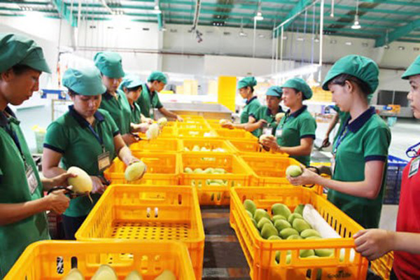 Trái Cây Sấy Giòn