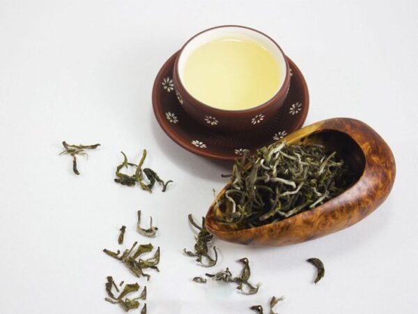 Trà Shan Tuyết Cổ Thụ
