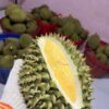 Sầu Riêng Béo Ngậy