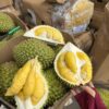 Sầu Riêng Ri6 -Việt Nam