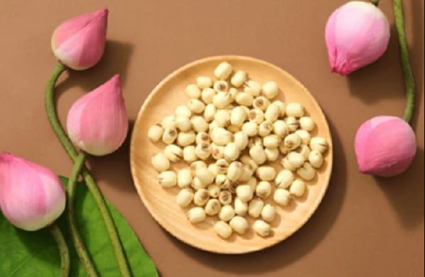 So sánh sen tươi và sen khô