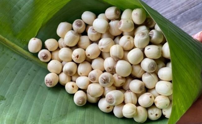 Hạt sen tươi hay khô tốt hơn cho sức khỏe? 