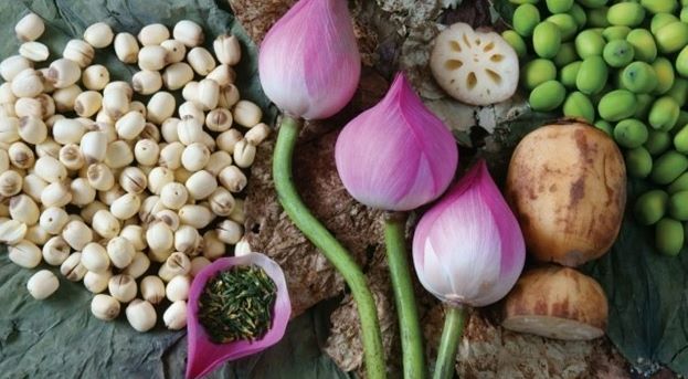 Giá trị dinh dưỡng của hạt sen tươi và khô