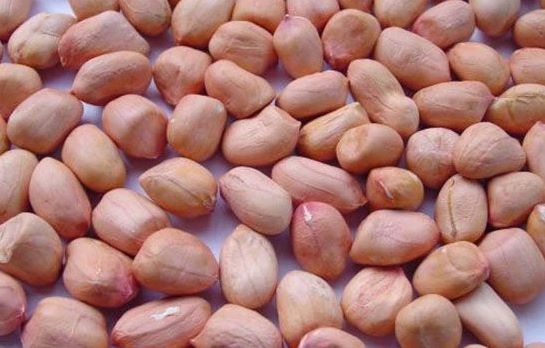 Lợi ích của chúng đối với sức khỏe