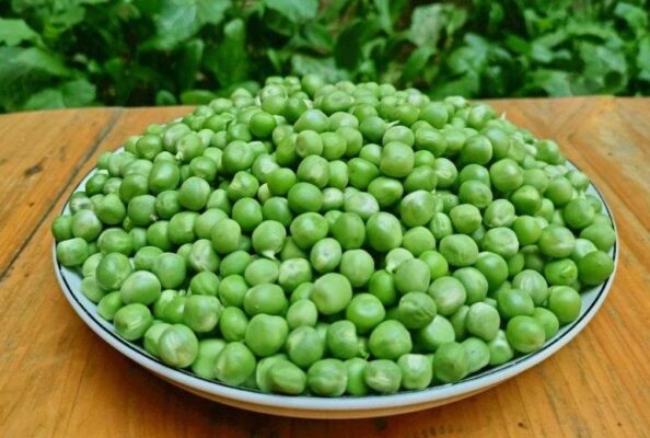 Top 5 cách chế biến đậu hà lan ngon và dễ làm tại nhà