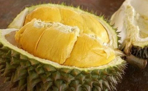 Vì sao sầu riêng Cái Mơn trở thành đặc sản trứ danh miền Tây?