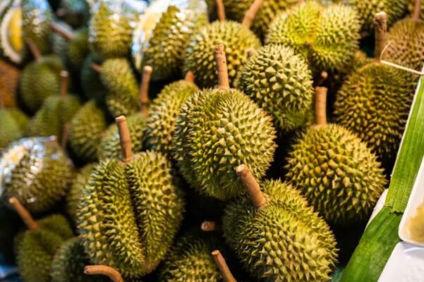Cái Mơn - "Vương Quốc" của những giống sầu riêng quý