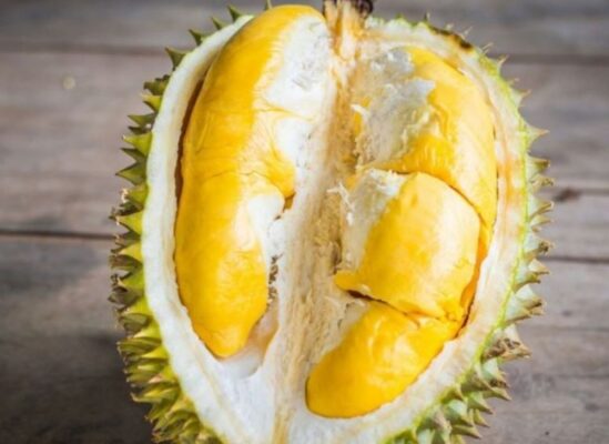 Điều kiện gì tạo nên sự khác biệt của sầu riêng Cái Mơn