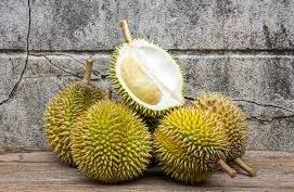 Sầu Riêng Sữa - Tinh hoa đặc sản miền nhiệt đới Việt Nam