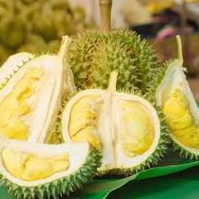 Sầu Riêng sữa