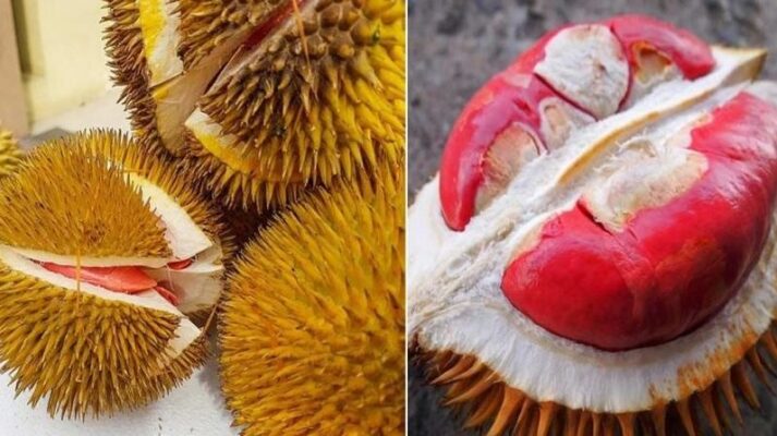 Gía trị dinh dưỡng của loại quả này
