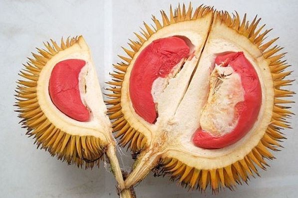 Sầu Riêng ruột đỏ - Đặc sản hiếm có, vị ngon độc lạ khó cưỡng