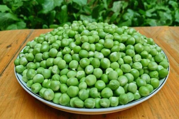 Hỗ trợ hệ tiêu hóa khỏe mạnh