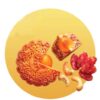 Trung Thu Kinh Đô - Bánh Nướng Lạp Xưởng Ngũ Hạt
