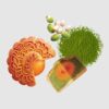 Trung thu Kinh Đô - Bánh Hạt Sen Trà Xanh