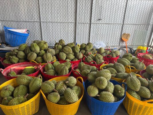 Vựa Sầu Riêng Ri6