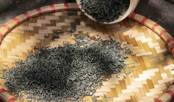 Trà Móc Câu - Đặc Sản Việt Nam
