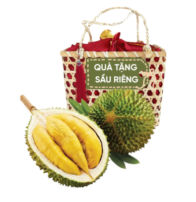 Quà Tặng Sầu Riêng