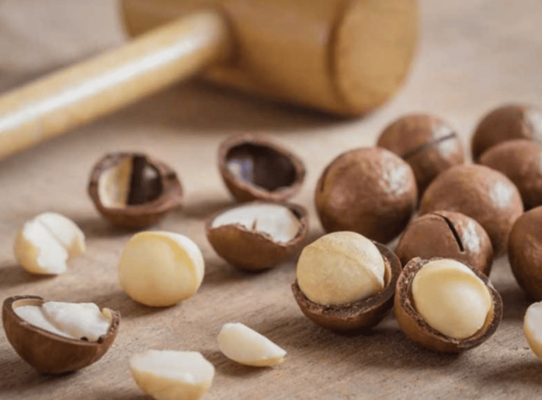 Hạt macca bóc vỏ