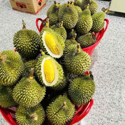 Sầu Riêng Musang King
