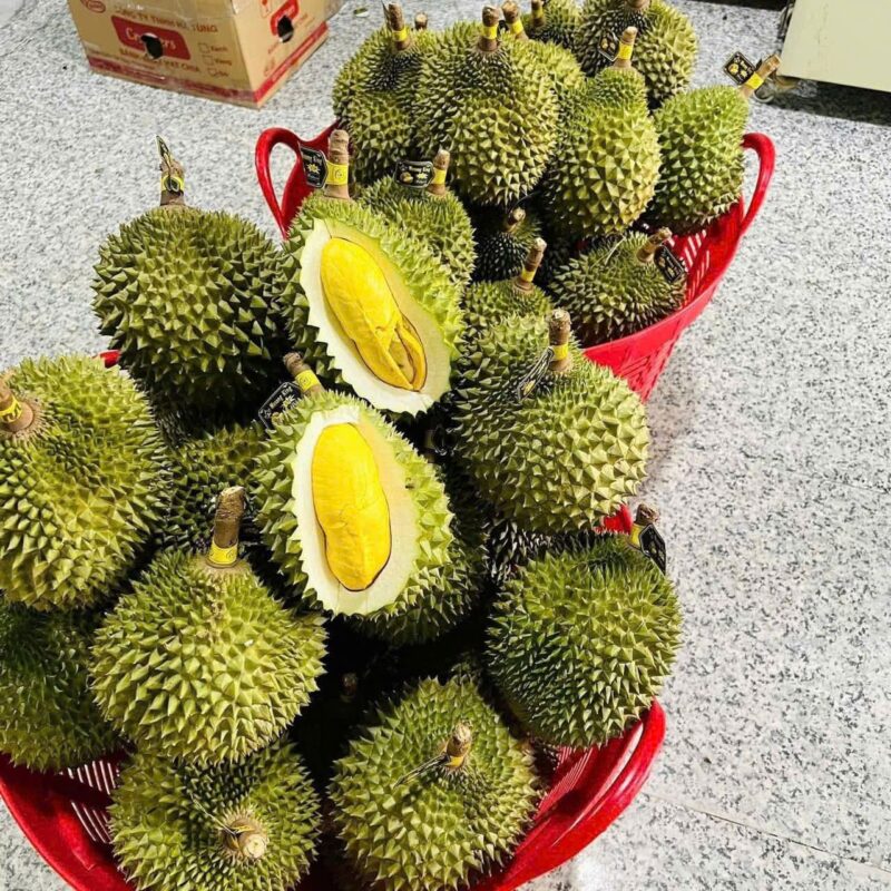 Sầu Riêng Musang King
