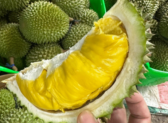 Sầu Riêng Musang King