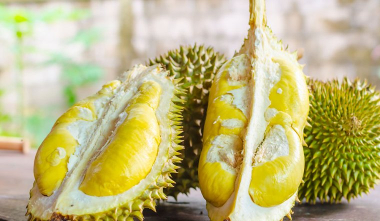 Sầu Riêng Dona Thơm Ngon