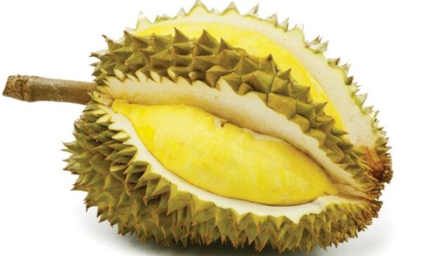 Giá Trị Kinh Tế Sầu Riêng Monthong